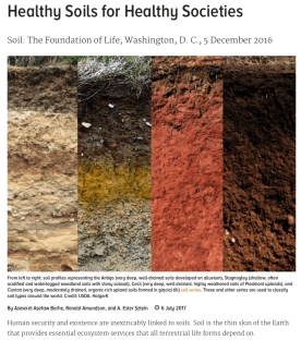 Screen Shot 2017-09-06 at 8.54.48 AM